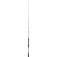 Cana Daiwa Saltiga Slow Jigging BJ64B4 Cana Daiwa Saltiga Slow Jigging BJ64B4